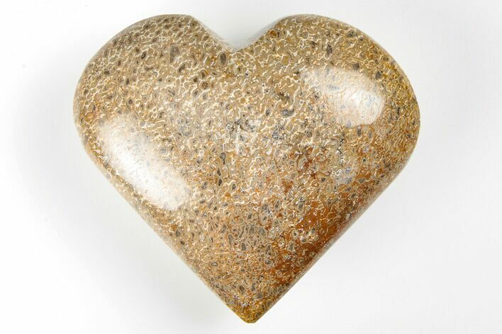Polished Dinosaur Bone (Gembone) Heart - Morocco #198469